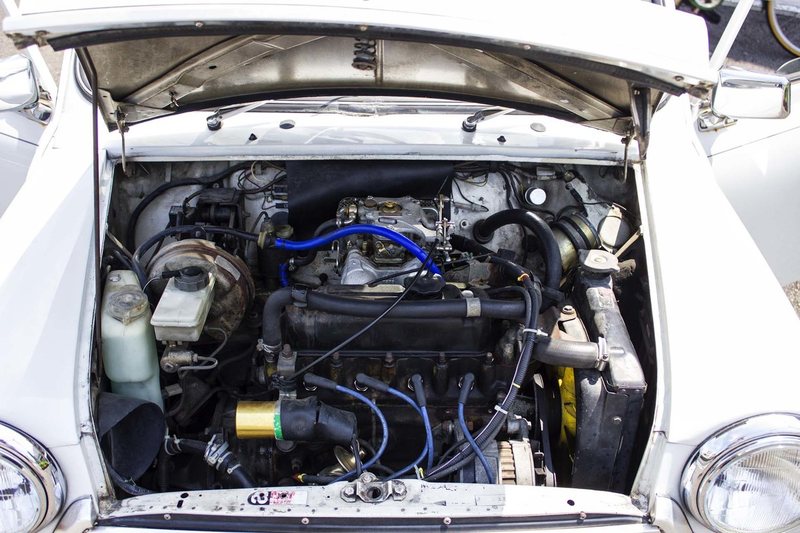 Illustration for article titled A few pics of the Mini I TRIED to play with 2 days ago...